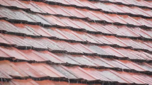 Strong summer thunderstorm on a tile roof - Video, Çekim