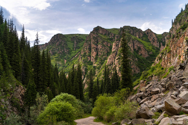 Rocky mountains and firs near Almaty city, Kazakhstan. - Zdjęcie, obraz