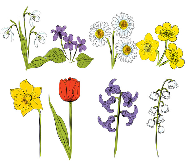 Vector illustration of Spring Flowers set - Vetor, Imagem