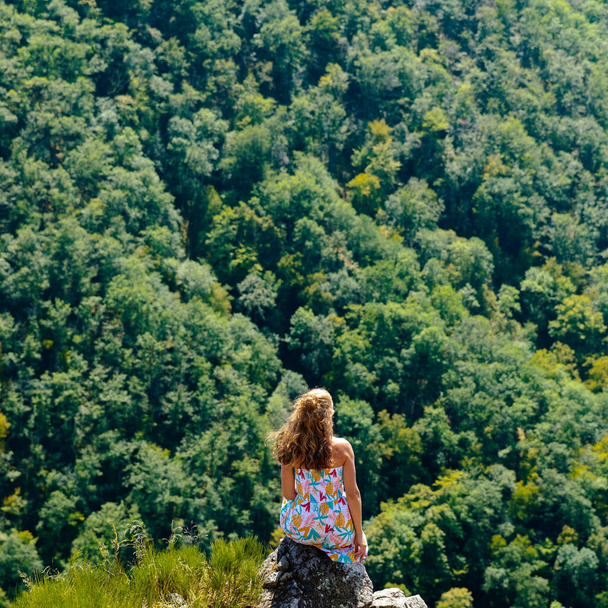 woman enjoying viewpoint of green forest - Foto, Bild