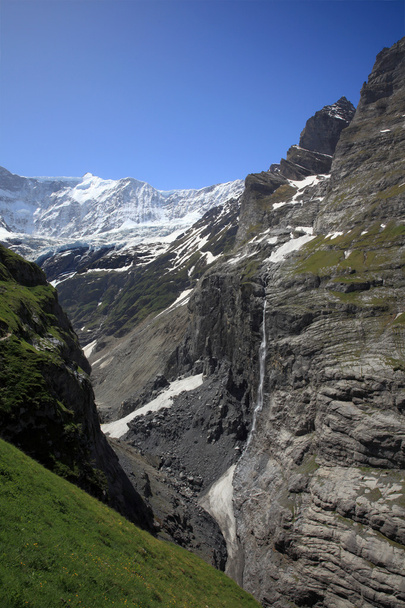 グリンデルヴァルトの氷河と Fiescherhorn 山 - 写真・画像