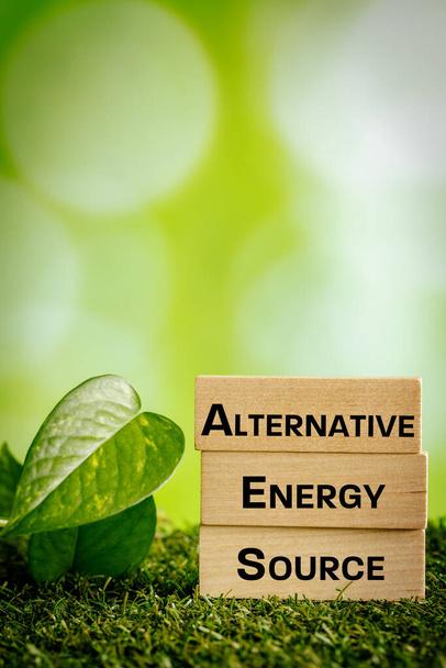 alternative energy source, Written on wooden blocks, Bright background, Green leaves, The concept of using natural energy sources without interfering with the environment, vertical photo, copy space - Foto, Bild