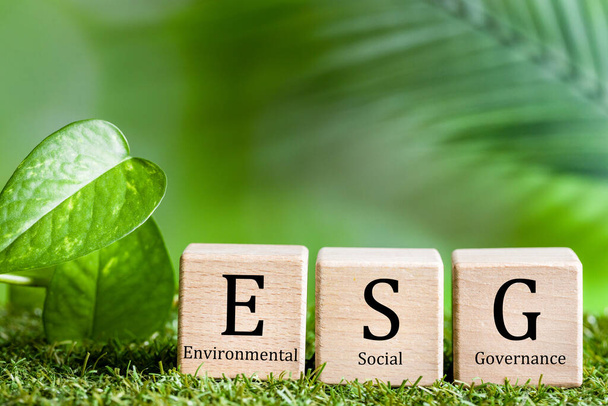 ESG written on wooden blocks, environmental, social and corporate governance, Creative concept, Connecting business with nature and social good - Foto, Imagen