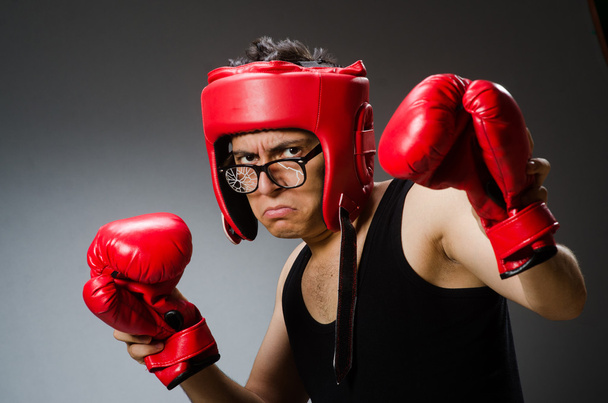 Boxer drôle avec des gants rouges
 - Photo, image