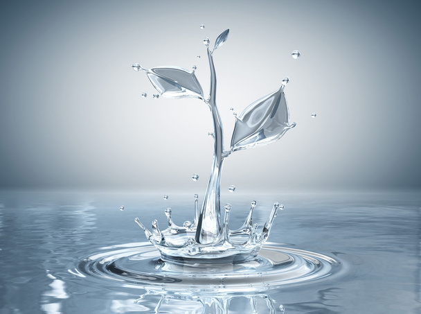 Сплеск води у вигляді рослини
  - Фото, зображення