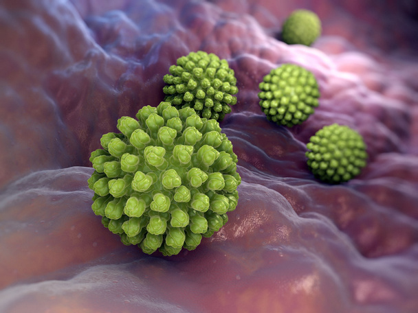 Rotavirus βακτήρια  - Φωτογραφία, εικόνα