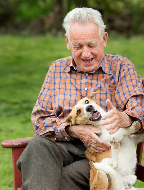Vanha mies leikkii koiran kanssa
 - Valokuva, kuva