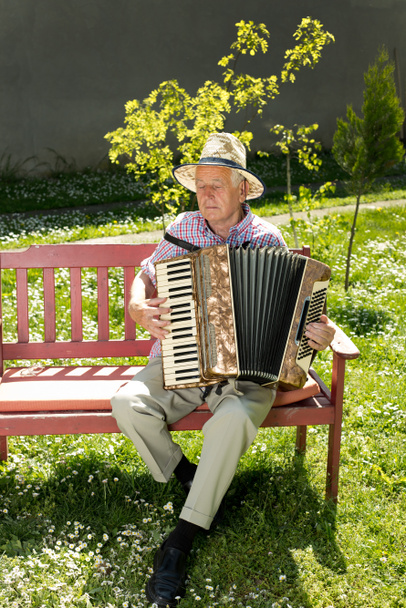 Yaşlı adam akordeon çalıyor. - Fotoğraf, Görsel