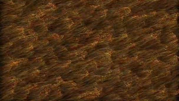 Realistic golden fur background.  4K Resolution (Ultra HD). - Filmati, video