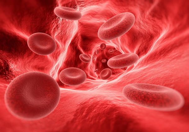 Τα κύτταρα του αίματος σε φλέβα  - Φωτογραφία, εικόνα