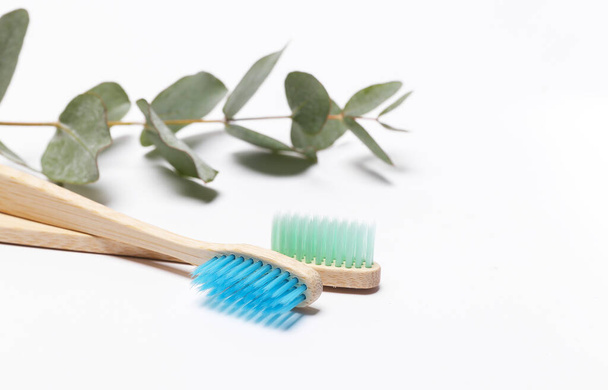 Caring for teeth, eco concept. Bamboo toothbrushes with a sprig of eucalyptus isolated on white background. - Fotografie, Obrázek