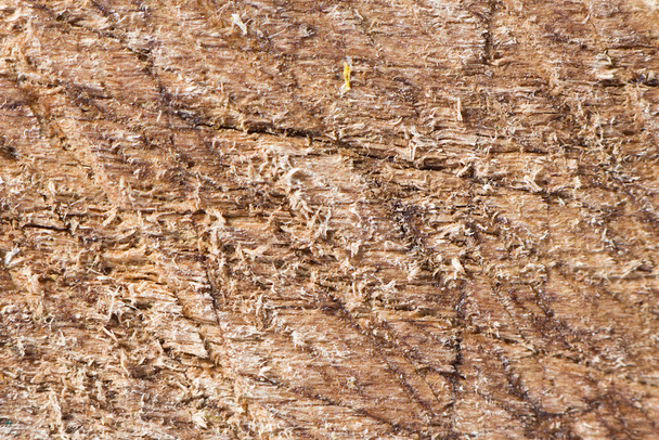 Scratched wood texture - Foto, Bild