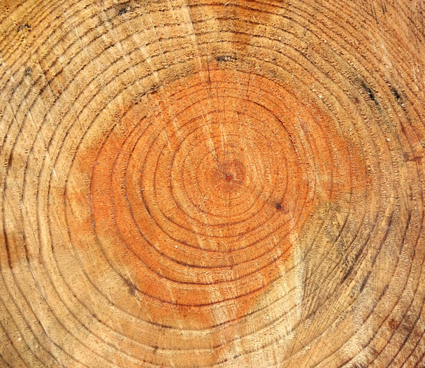 Szykach drewniane tekstury - Zdjęcie, obraz