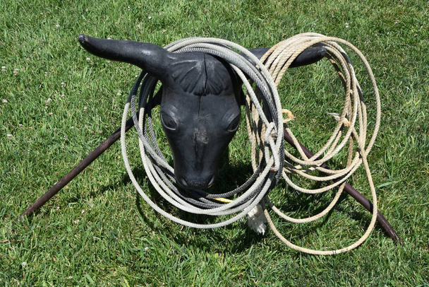 A fake head of a longhorn steer serves as a tpractice arget for cowboys practicing with a lariat.  - Foto, imagen