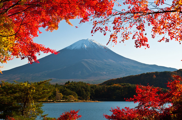 Fuji - Foto, Bild