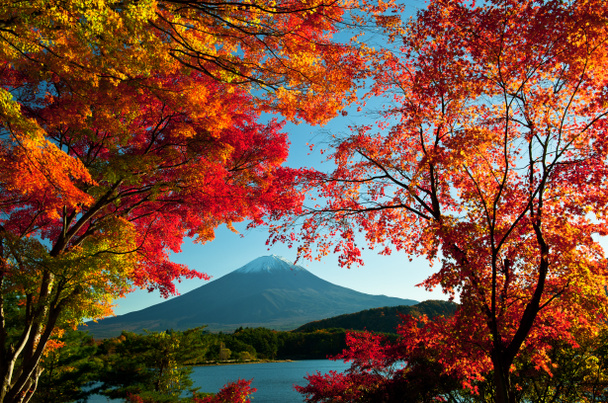 MT Fuji - Fotoğraf, Görsel