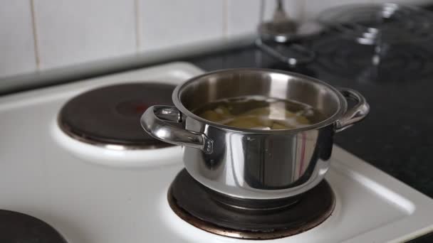 Cooking potatoes in boiling water. - Footage, Video