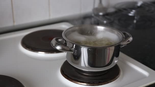 Vaření brambor ve vroucí vodě. - Záběry, video