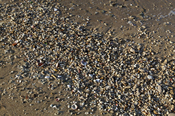 Large stones on the shore of the Mediterranean Sea  - 写真・画像