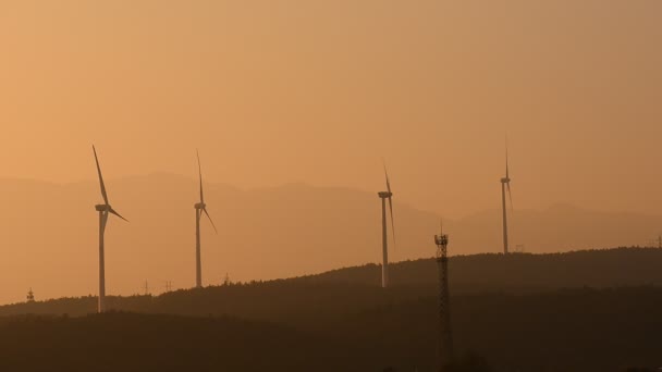 Windturbines op het platteland bij avond - Video