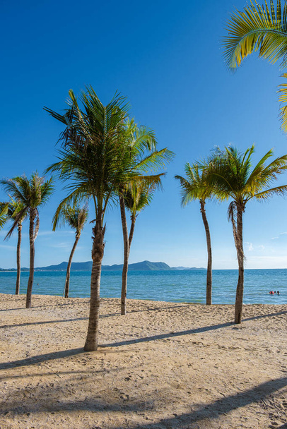 Ban Amphur Beach Pattaya Thailand, a beach with beautiful palm trees and a blue ocean in Pattaya Thailand - Photo, image
