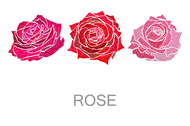 Decorative hand drawn rose flowers, design elements. Can be used for cards, invitations, banners, posters, print design. Floral background - Wektor, obraz