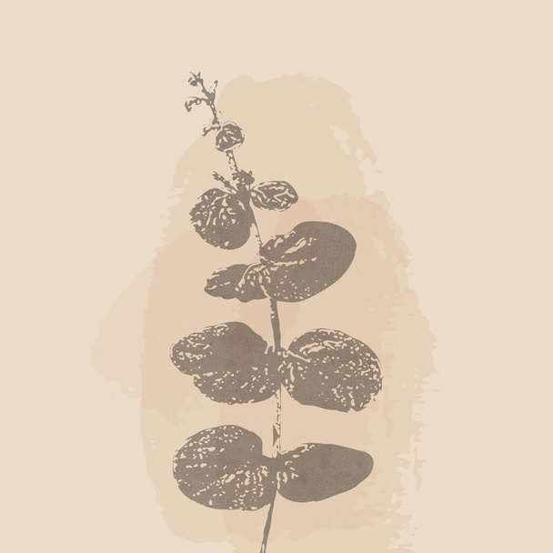 Печатная модная ботаническая карта. Использование для обложки, обоев, настенного искусства. - Фото, изображение
