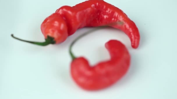 Changing the lens zoom method to focus on different ghost peppers on white - Filmati, video