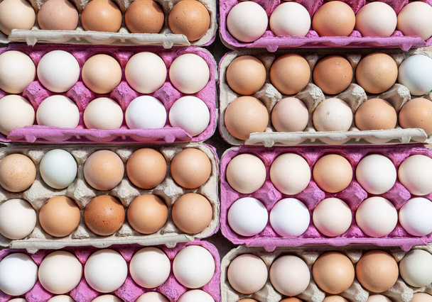 Scatola di uova aperta con uova fresche colorate biologiche in confezioni di cartone - Foto, immagini