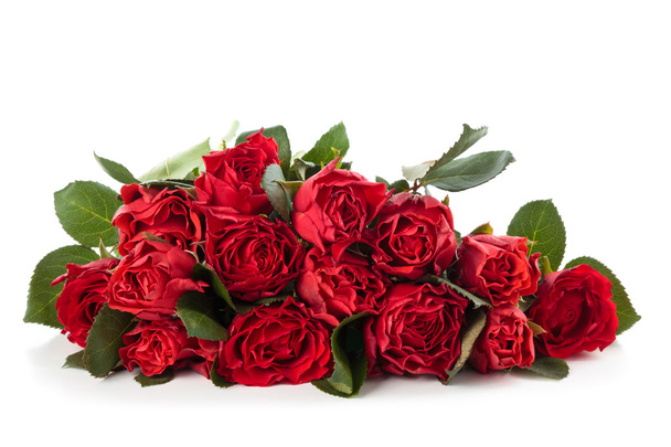 Rosas rojas. - Foto, Imagen