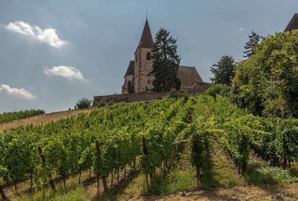 Saint-Jacques-le-Majeur church in Hunawihr, Alsace, France - Zdjęcie, obraz