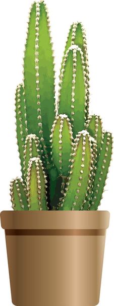 Abstract of green cactus plant in brown pot. - Vector, imagen