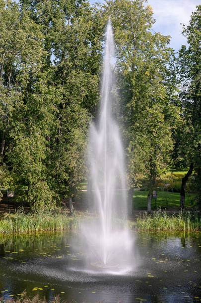 Water fountain spraying water,beautiful garden and park decorations - Foto, afbeelding