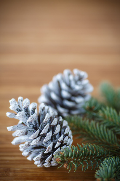 Christmas tree with cones  - Фото, изображение