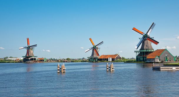アムステルダムを風車します。 - 写真・画像