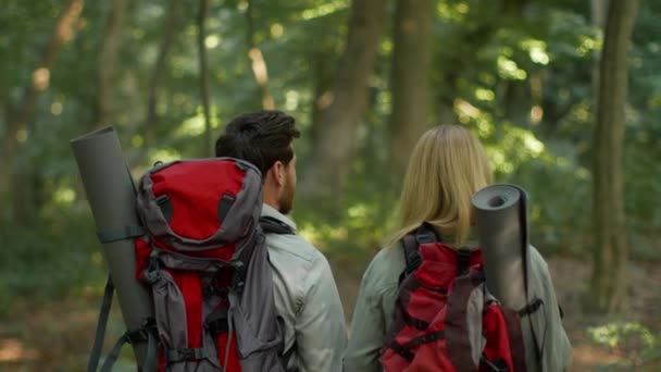 Romance and active leisure. Back view portrait of two happy loving man and woman tourists with backpack walking together in woodland, enjoying hiking trip, follow shot, slow motion - Footage, Video