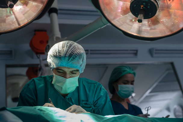Команда профессиональных врачей, выполняющих операции в операционном зале, здравоохранительных и медицинских учреждениях - Фото, изображение