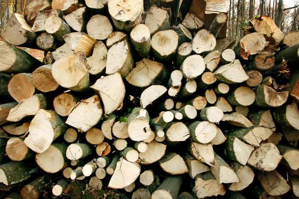 Куча дров
 - Фото, изображение