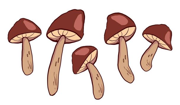 Cartoon hand drawn brown forest mushrooms. Vector icon isolated on white background. - Vektor, Bild