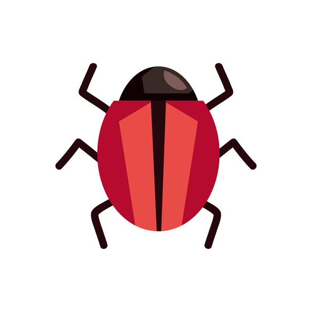 bug insect animal icon isolated - Vector, Image