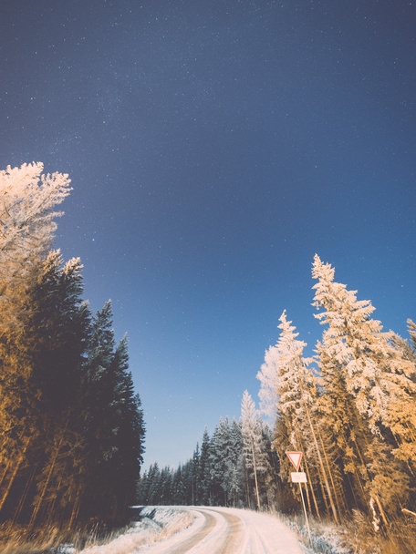 noční obloha s hvězdami v zimní noci se stromy. ročník - Fotografie, Obrázek