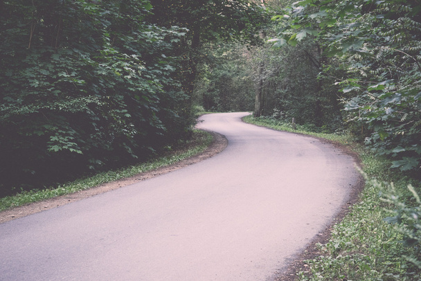 carretera ligeramente iluminada en el bosque - retro, vintage
 - Foto, Imagen