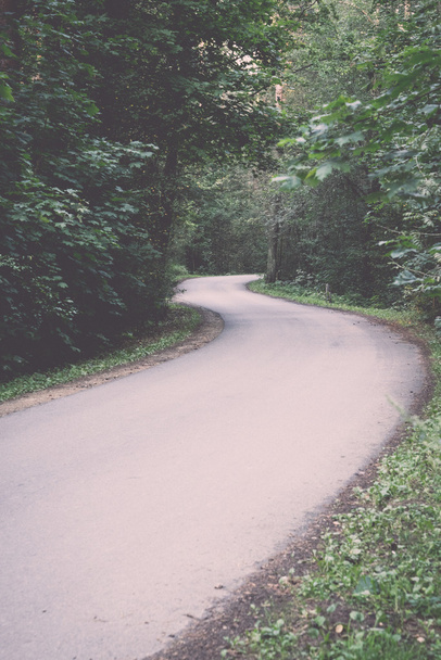 slightly lit road in the forest - retro, vintage - Photo, Image