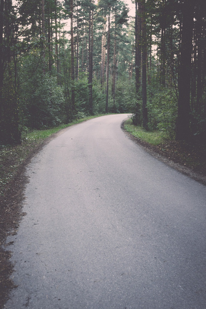 kissé megvilágított út az erdőben - retro, vintage - Fotó, kép