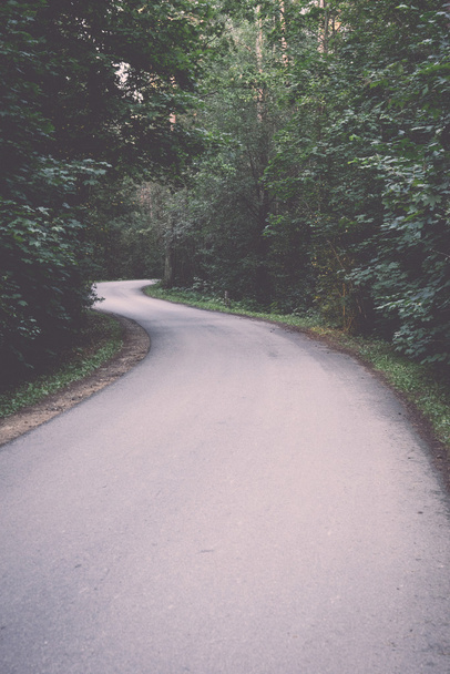 route légèrement éclairée dans la forêt - rétro, vintage
 - Photo, image