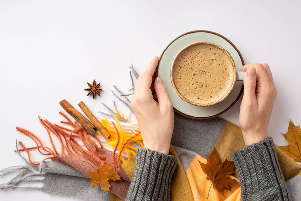 First person top view photo of girl's hands in knitted pullover holding cup of frothy coffee and saucer over plaid scarf yellow maple leaves anise and cinnamon sticks on isolated white background - 写真・画像