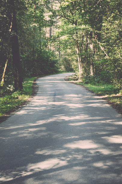 carretera ligeramente iluminada en el bosque - retro, vintage
 - Foto, imagen