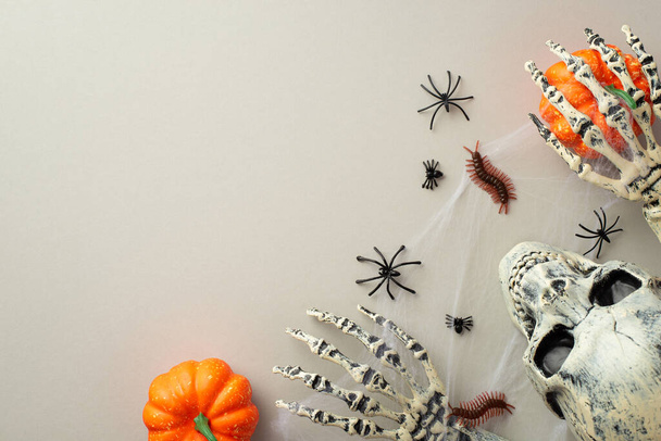 Halloween scary decorations concept. Top view photo of skull skeleton hands holding pumpkins spiders centipedes and spiderweb on isolated grey background with copyspace - Foto, afbeelding