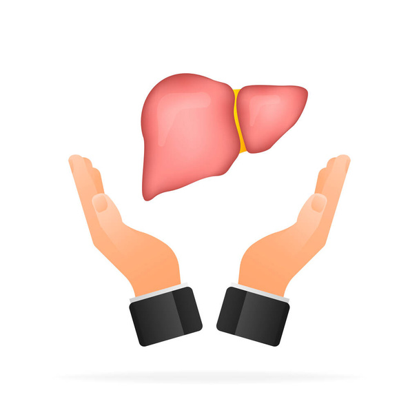 Liver anatomy structure. Digestive gallbladder organ. Vector illustration - Διάνυσμα, εικόνα