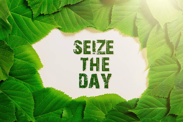 Text showing inspiration Seize The Day, Business overview Embrace opportunities Have motivation inspiration optimism Important Informations Written On Paper Under Lot Of Leaves. - Foto, Imagem